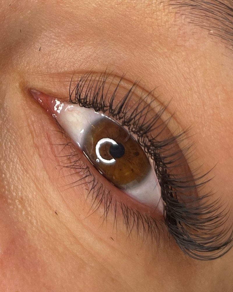 Classic lash set freshly refilled, close up on a brown eye