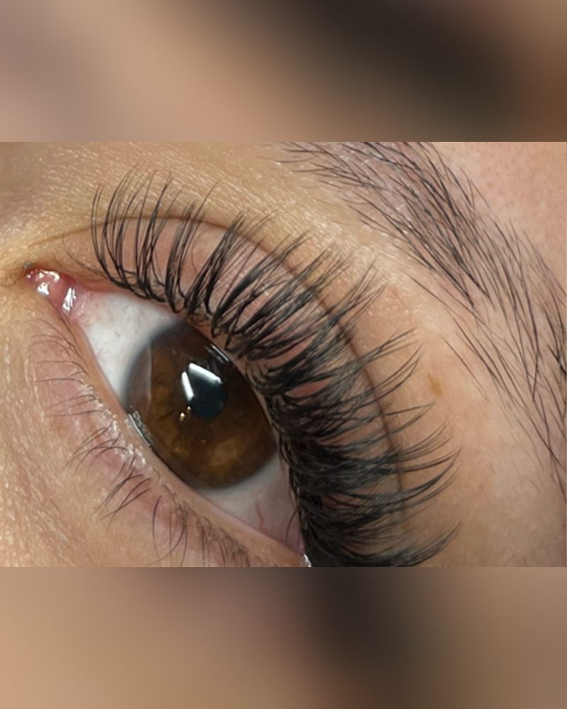 Hybrid lash set close up on a brown eye